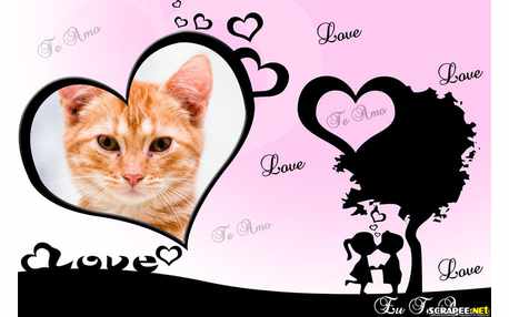 Moldura - So No Love