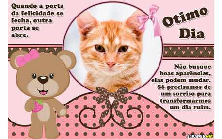 Moldura - Surpresas Do Dia Dia