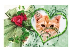 Moldura - Heart And Roses