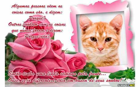 Moldura - Semana Ousada