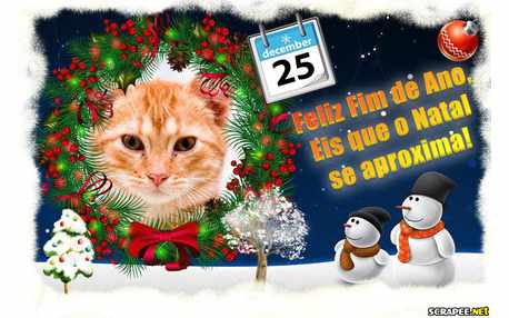 Moldura - Natal Se Aproxima