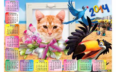 Moldura - Calendario 2014 Filme Rio