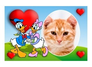 Moldura - Donald E Margarida