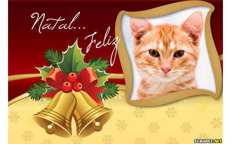 Moldura - Sino De Natal