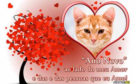 Moldura - Ano Novo Ao Lado Do Amor