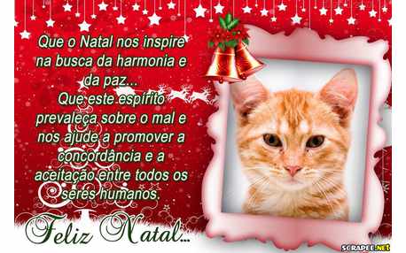 Moldura - Mensagem De Natal