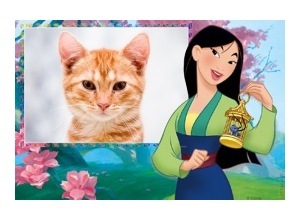 Moldura - Mulan