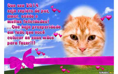 Moldura - 2014 De Paz E Amor