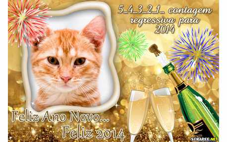 Moldura - Reveillon 2014