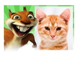 Moldura - Over The Edge