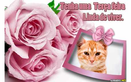 Moldura - Terca Feira   Dia De Ser Feliz