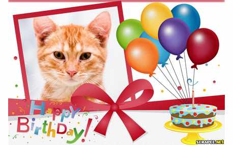 Moldura - Happy Birthday