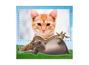 Moldura - Madagascar