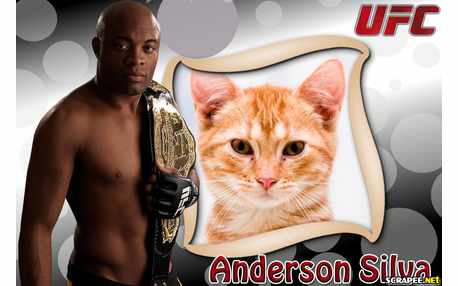 Moldura - Ufc Anderson Silva