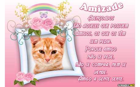 Moldura - Abencoados Quem Possue Amigos