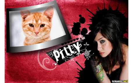 Moldura - Cantora Pitty