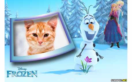 Moldura - Filme Frozem