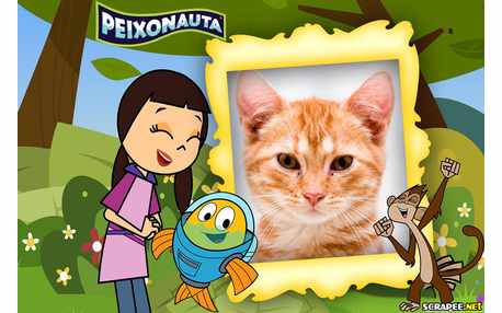 Moldura - Peixonaltas