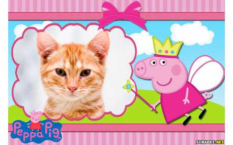 Moldura - Peppa Pig