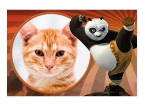 Moldura - Kung Fu Panda