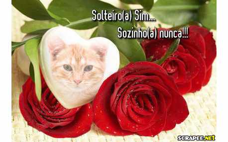 Moldura - Sozinho Nunca