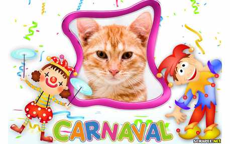 Moldura - Carnaval So Aledria