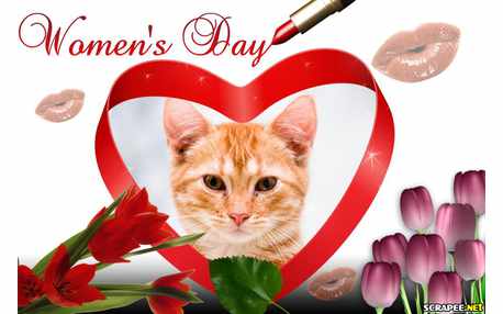 Moldura - Womens Day   Dia Da Mulher
