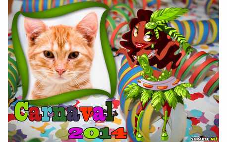 Moldura - Carnaval 2014