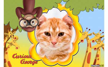 Moldura - George O Curioso