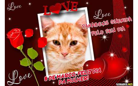 Moldura - Parabens Querida Mulher