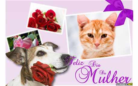 Moldura - Dia Da Mulher