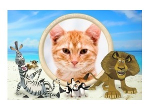 Moldura - Madagascar 2