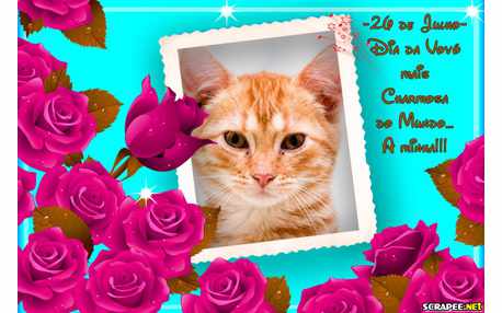 Moldura -  Dia Da Vovo Mais Bonita Do Mundo