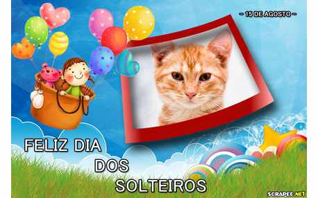 Moldura - Feliz Dia Do Solteiro