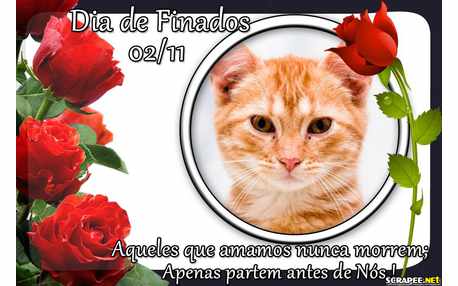 Moldura - 02 De Novembro   Dia Das Almas