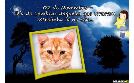 Moldura - Homenagem Aos Mortos