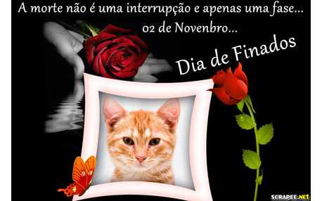 Moldura - Finados   Dia Das Almas