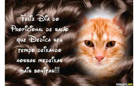 Moldura - Dia Do Proficional De Salao