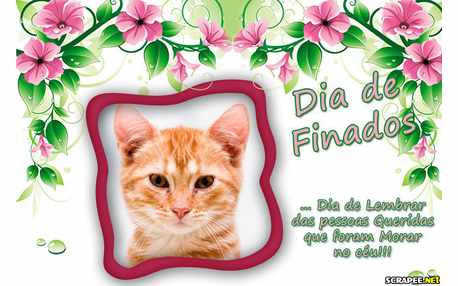 Moldura - Homenagem Ao Dia Dos Finados