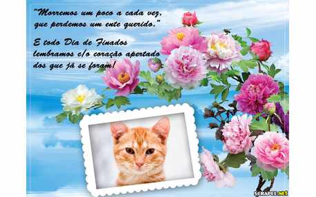 Moldura - Eternas Recordacoes