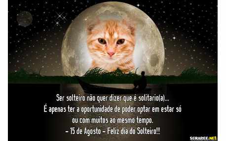 Moldura - Optei Ser Solteiro