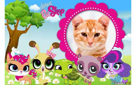 Moldura - Animais Littlest Pet Shot