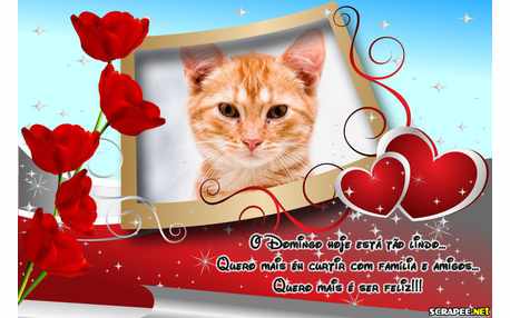 Moldura - Domingo Lindo