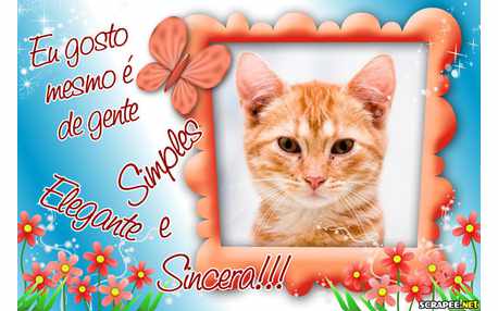 Moldura - Gente Elegante