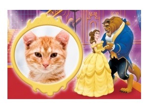 Moldura - A Bela E A Fera