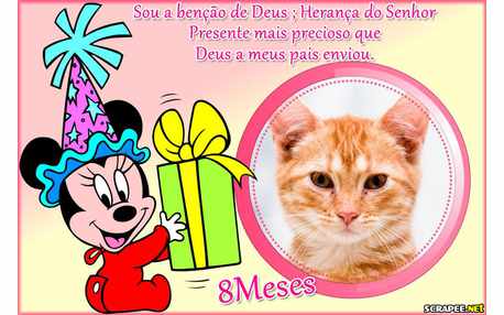 Moldura - Bebe Menina 8 Meses