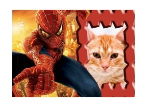 Moldura - Spiderman