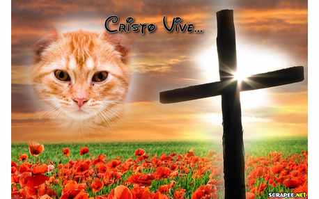 Moldura - Cristo Vive