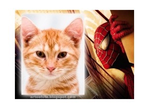 Moldura - Spiderman 2