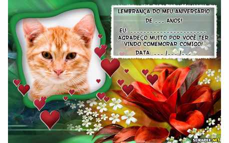 Moldura - Lembranca De Aniversario Para Mulher